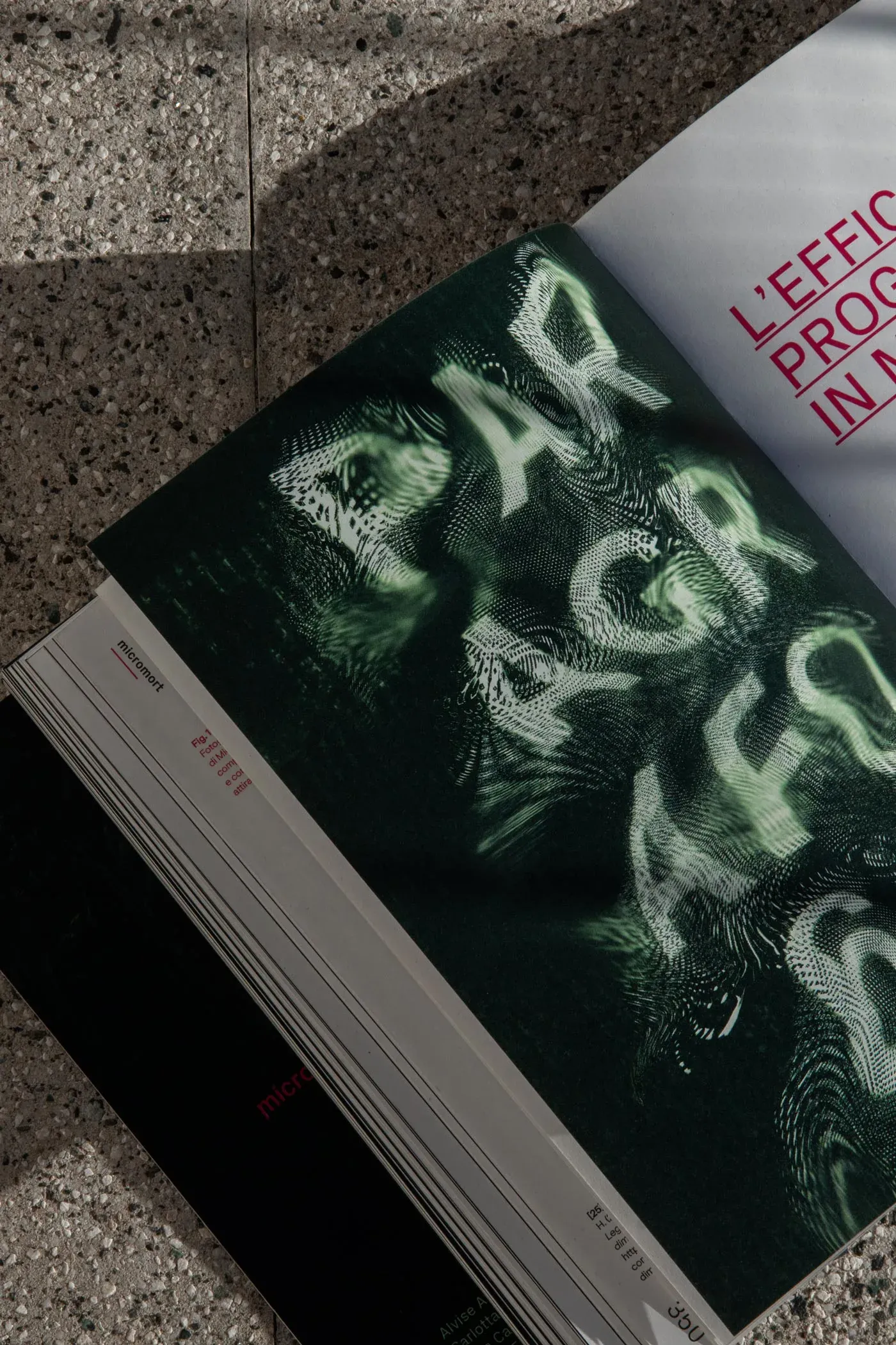 Micromort Bachelor Thesis spread featuring generative typography printed with distorted effects | Carlotta Bacchini