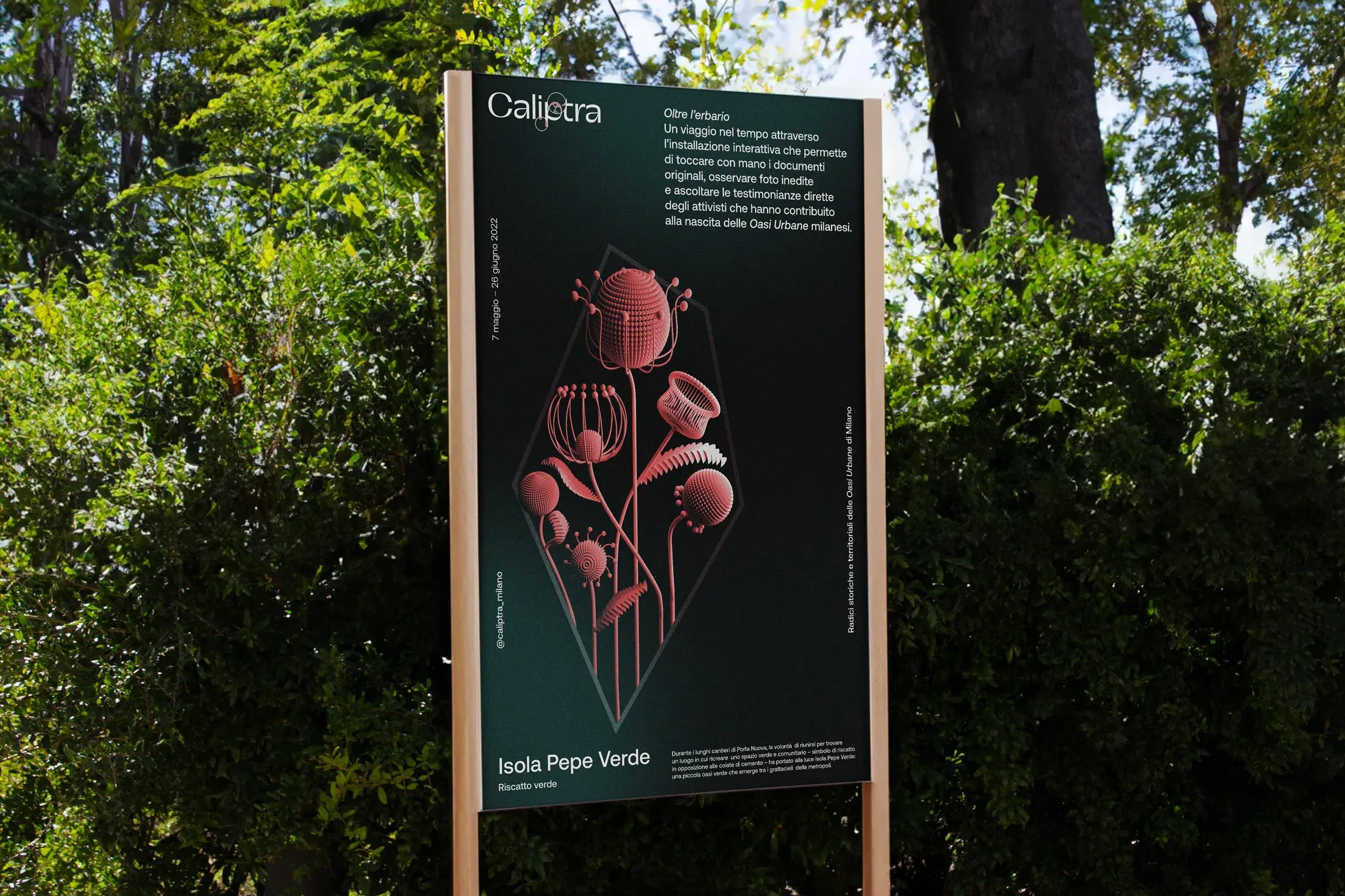 Caliptra Poster | Carlotta Bacchini