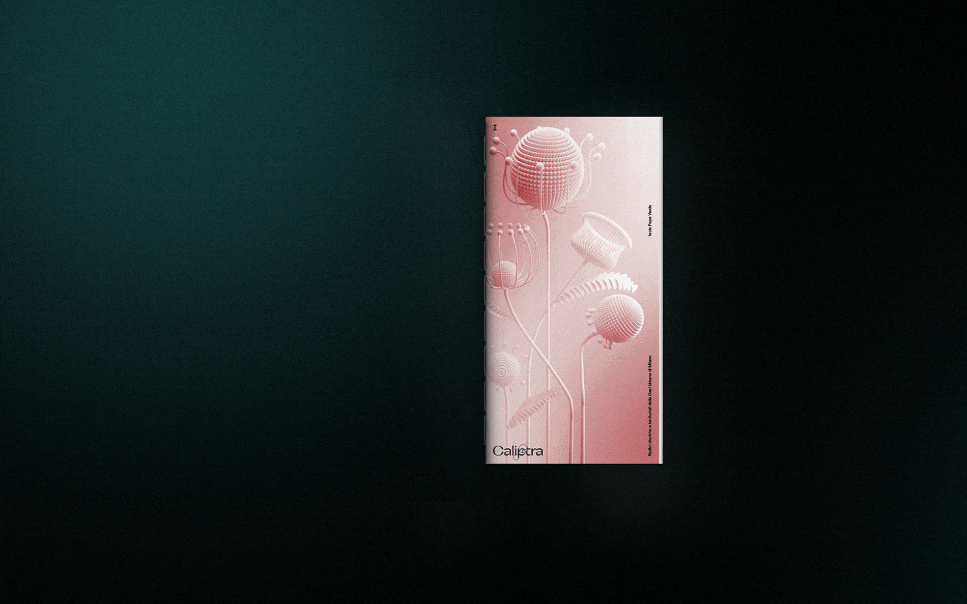 Caliptra Publication | Carlotta Bacchini