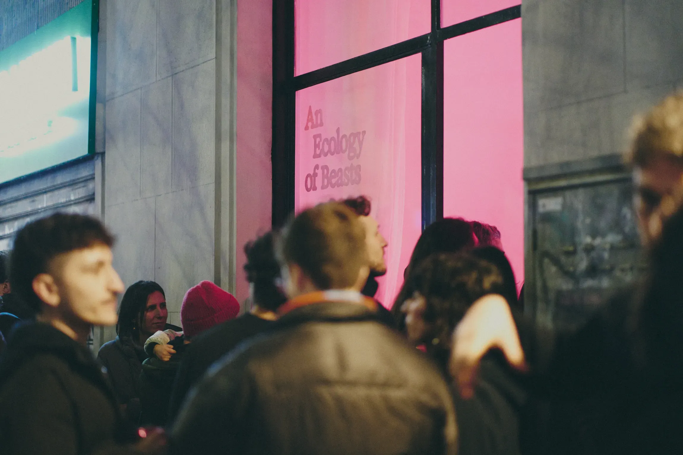 Outside view of An Ecology of Beasts exhibition at TXT Studio Milan, storefront installation with multiple vertical screens and pink lighting | Carlotta Bacchini