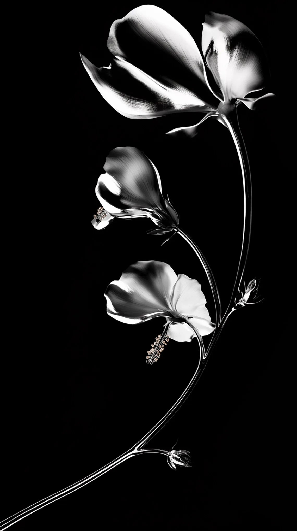 VISUALIZING SOUND – Generative floral composition reacting to audio in TouchDesigner by Carlotta Bacchini