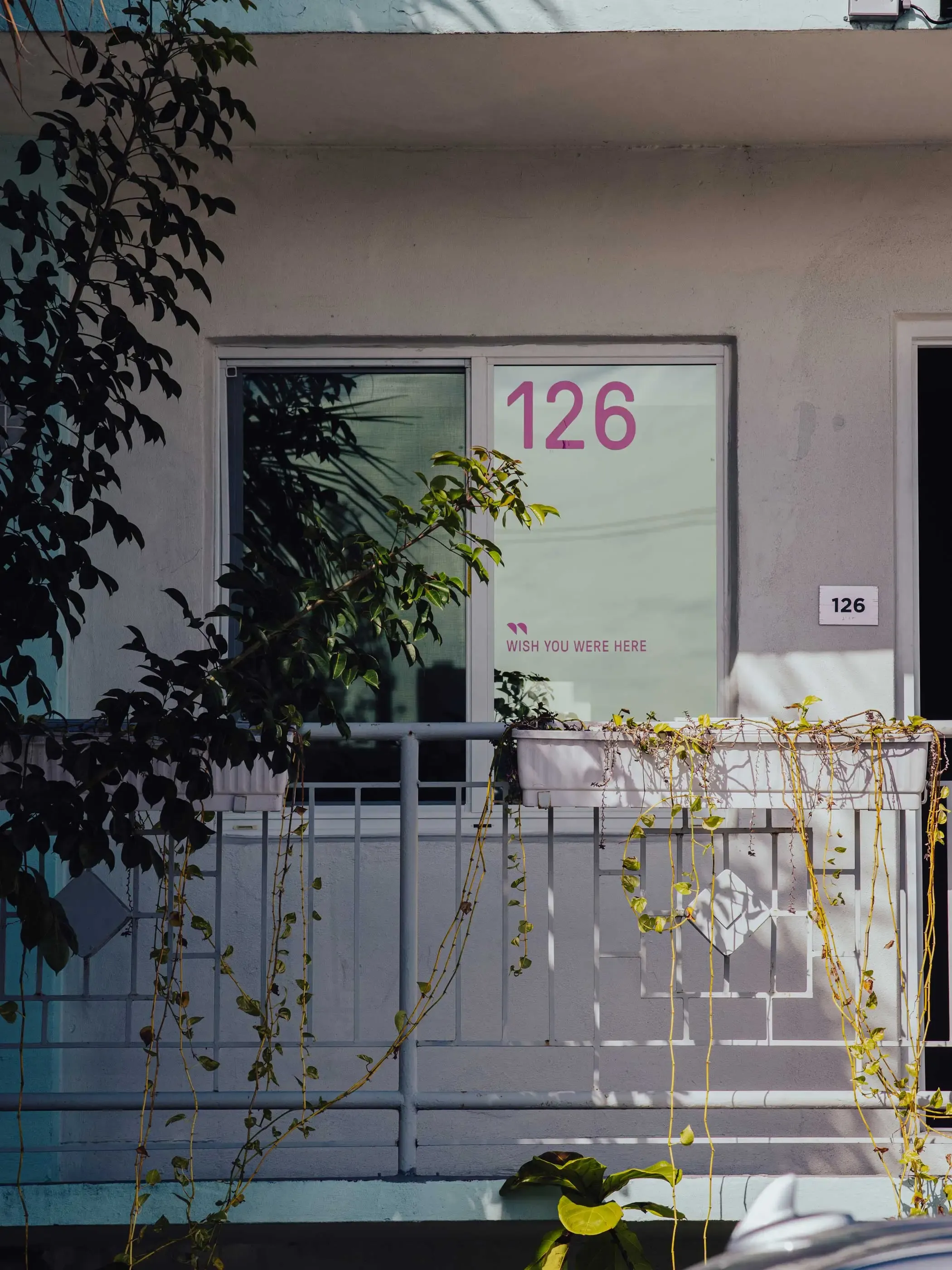 Pink vinyl window signage for Alcova Miami 2023, displaying room numbers and exhibitor names on Selina Godl Dust Motel windows | Carlotta Bacchini